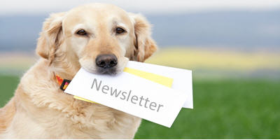 Newsletter illustratie